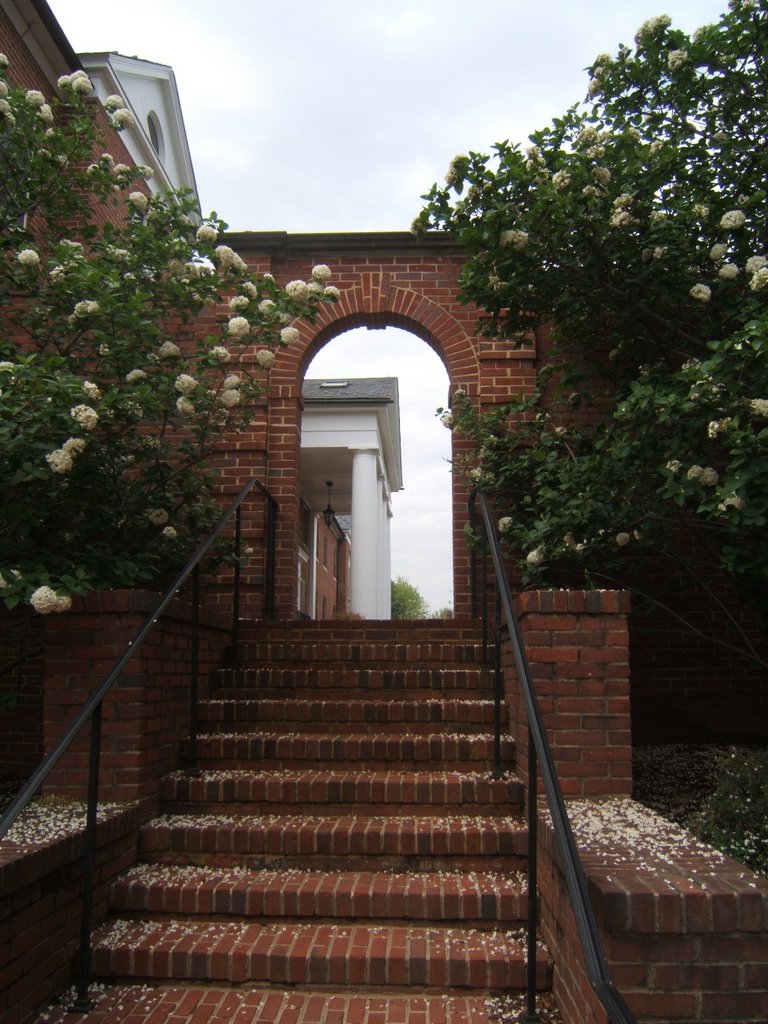 University of Maryland South Hill Quad