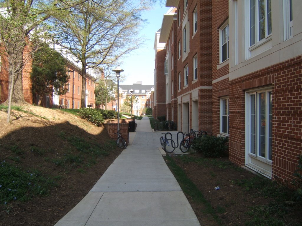 Allegany Hall and Commons