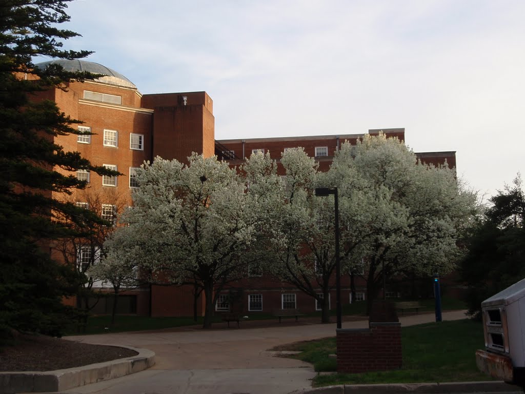 Garden Space behind Math Building