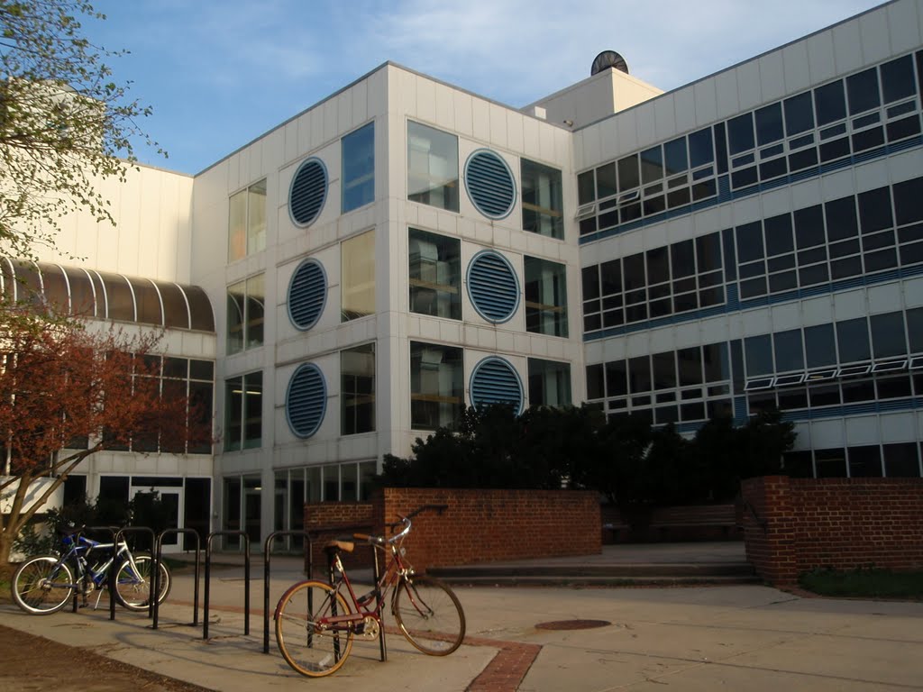 Back of Engineering