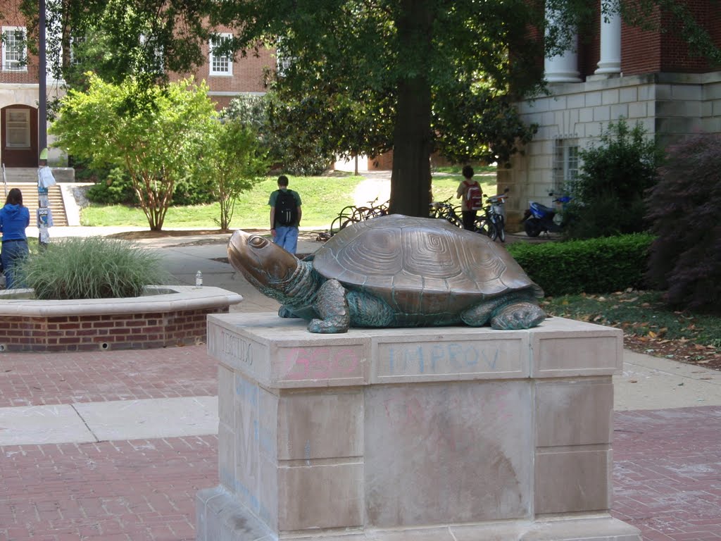 Testudo