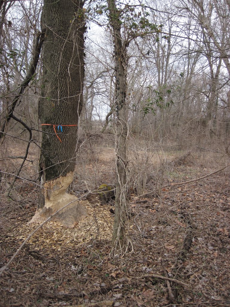 The industry of a busy beaver
