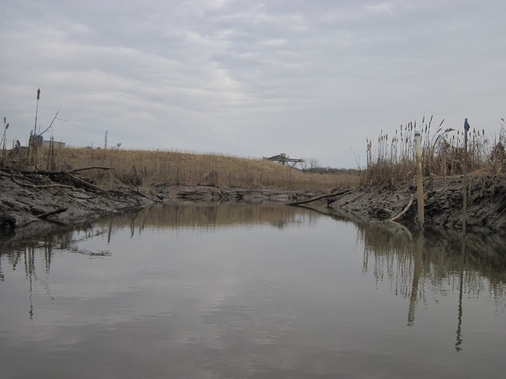 exploring a tidal marsh channel 1