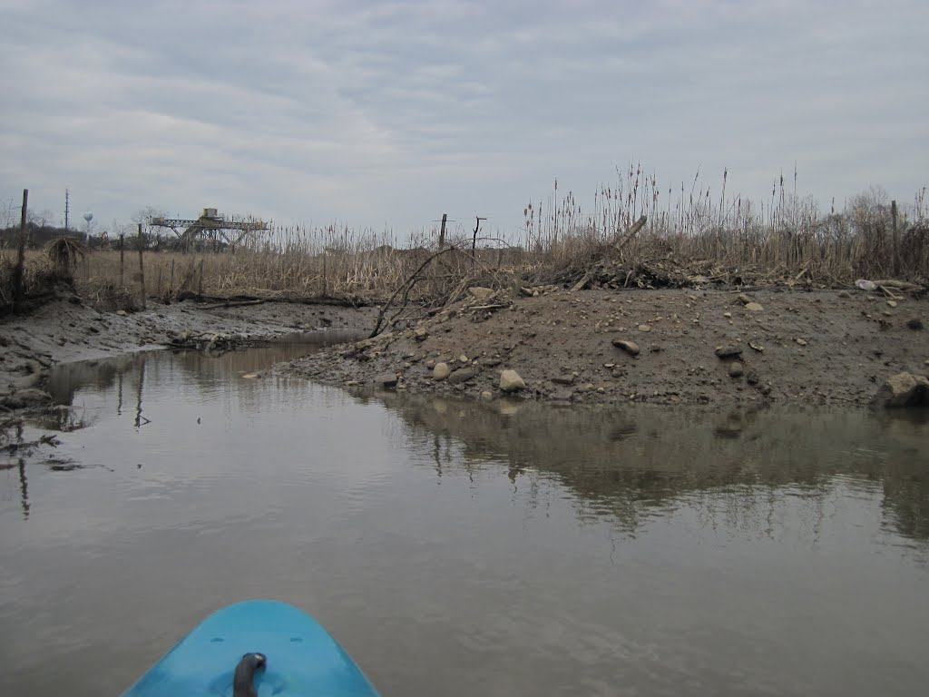 exploring a tidal marsh channel 3