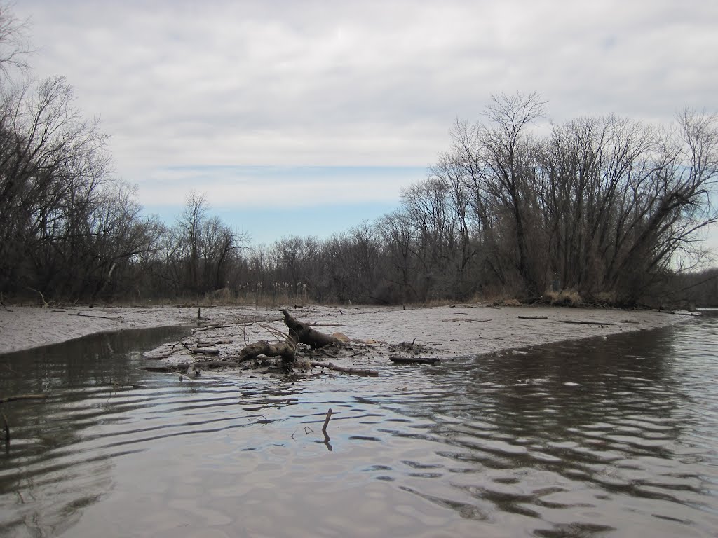 The mouth of Watts creek in a very low tide