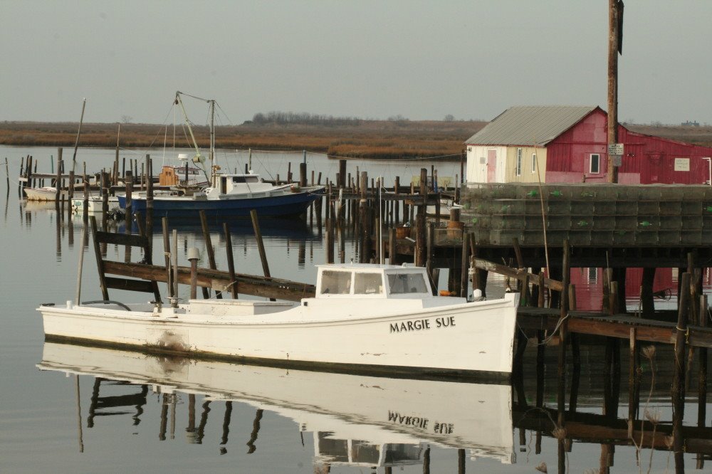 Jenkins Creek