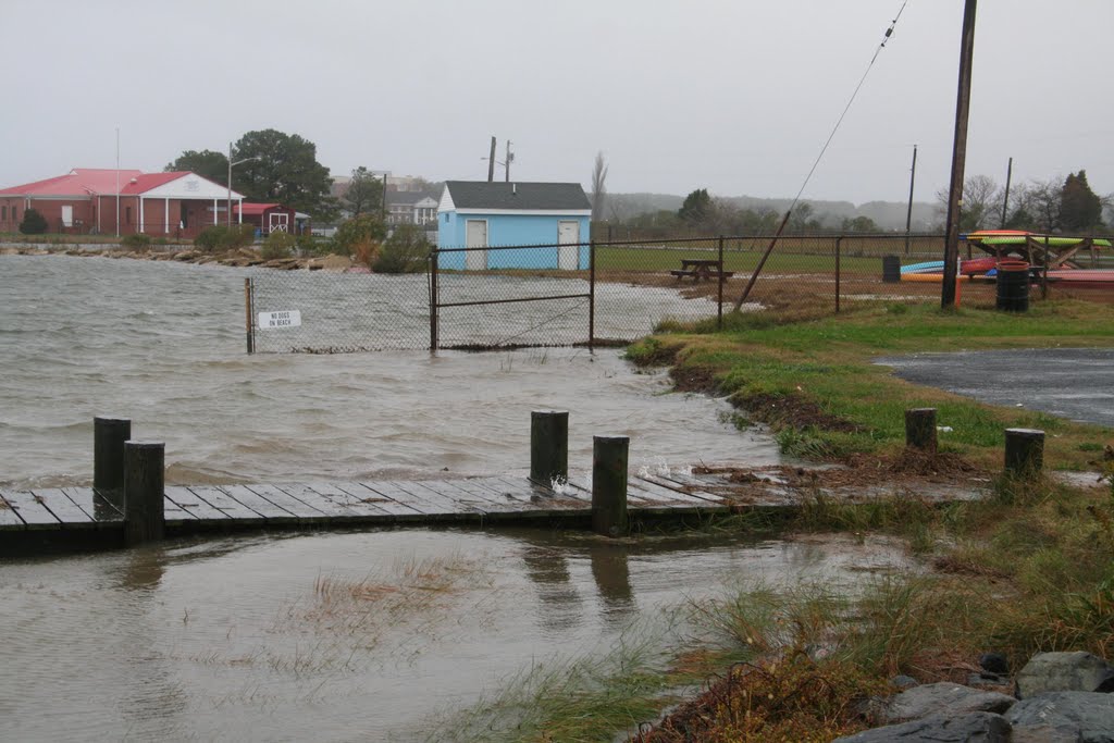 Extra High Tide