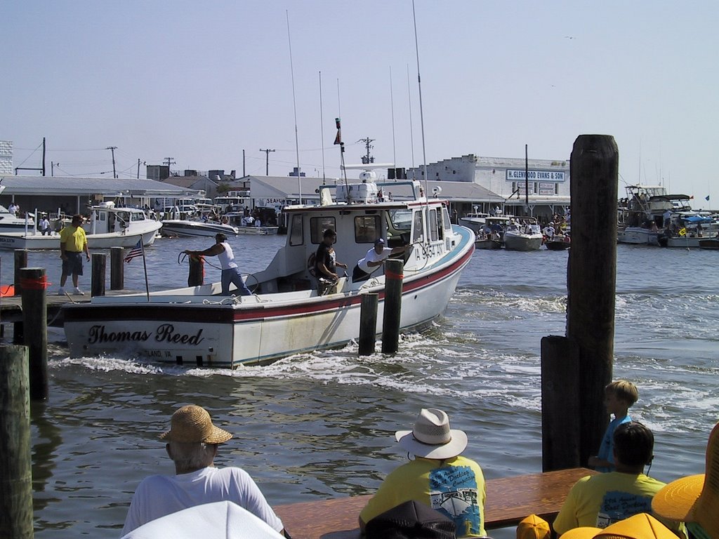 Docking Contest - Crisfield, MD