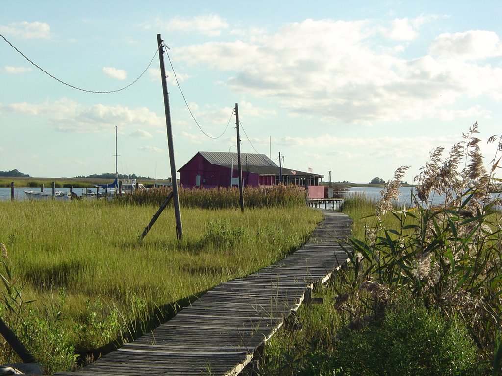Shanty near Crisfield Maryland