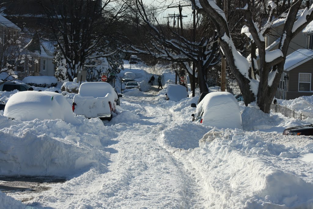Blizard 2010