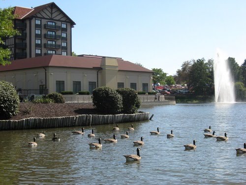 Westport Plaza Lake