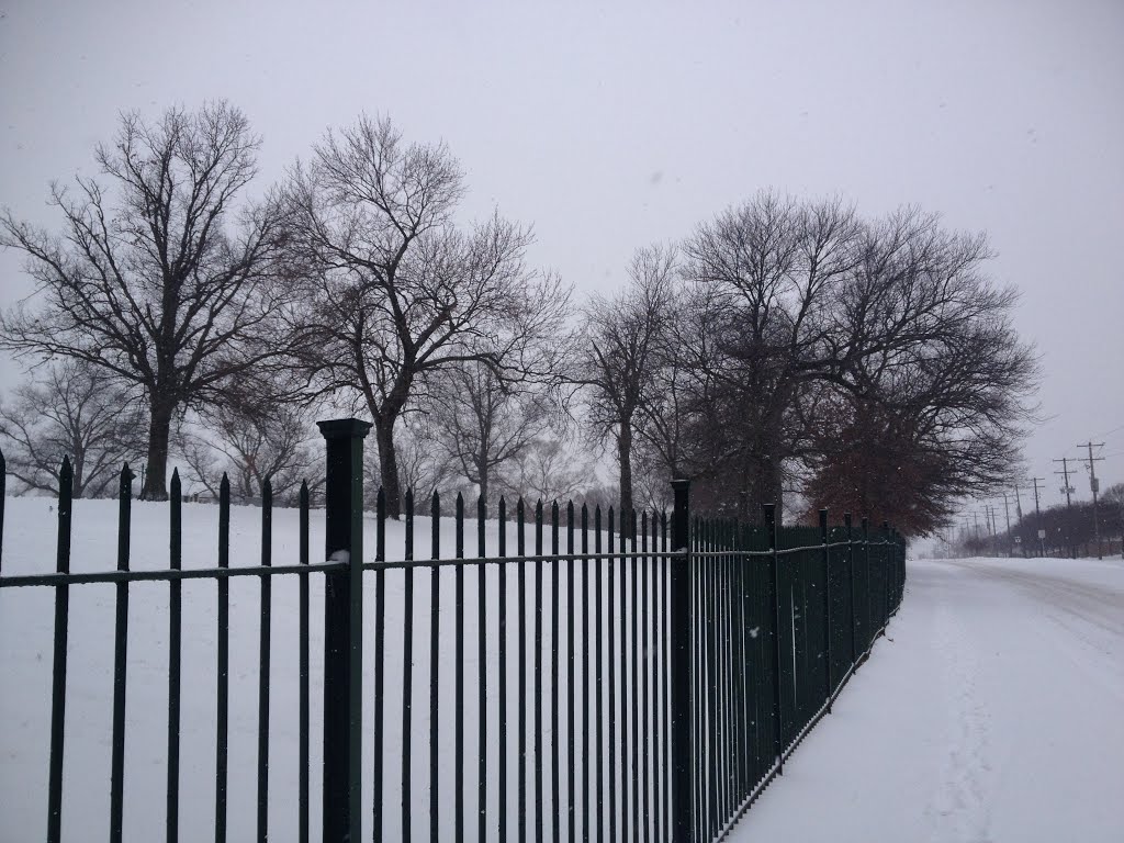 Snowy Day