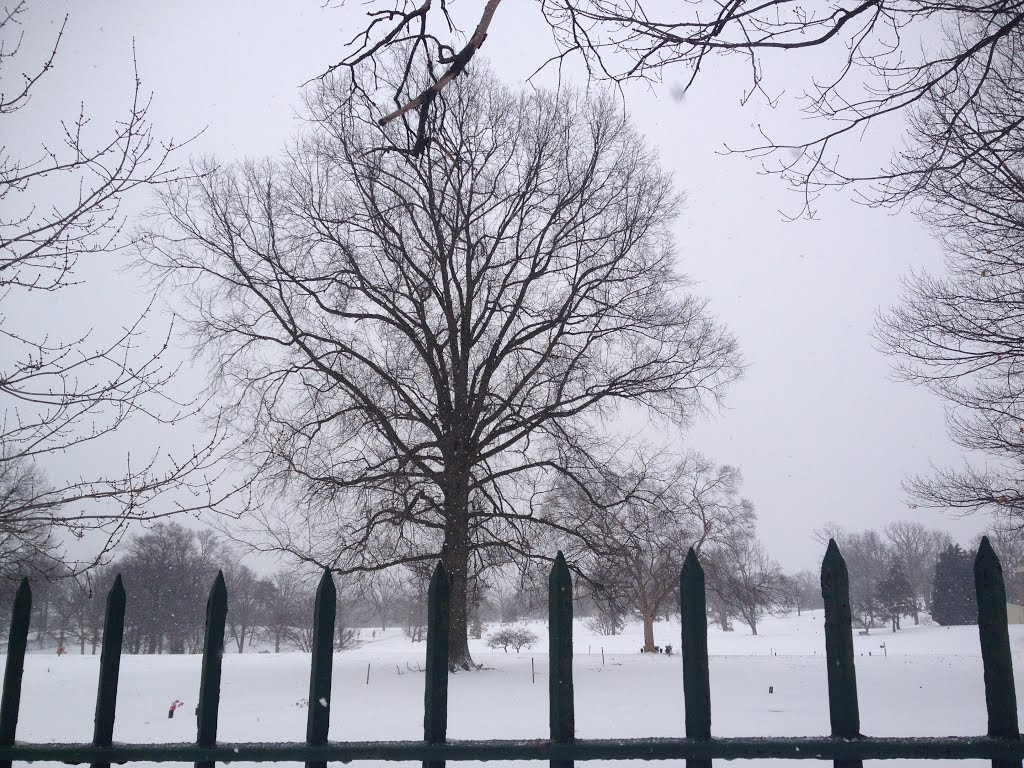 Ft. Lincoln Cemetery