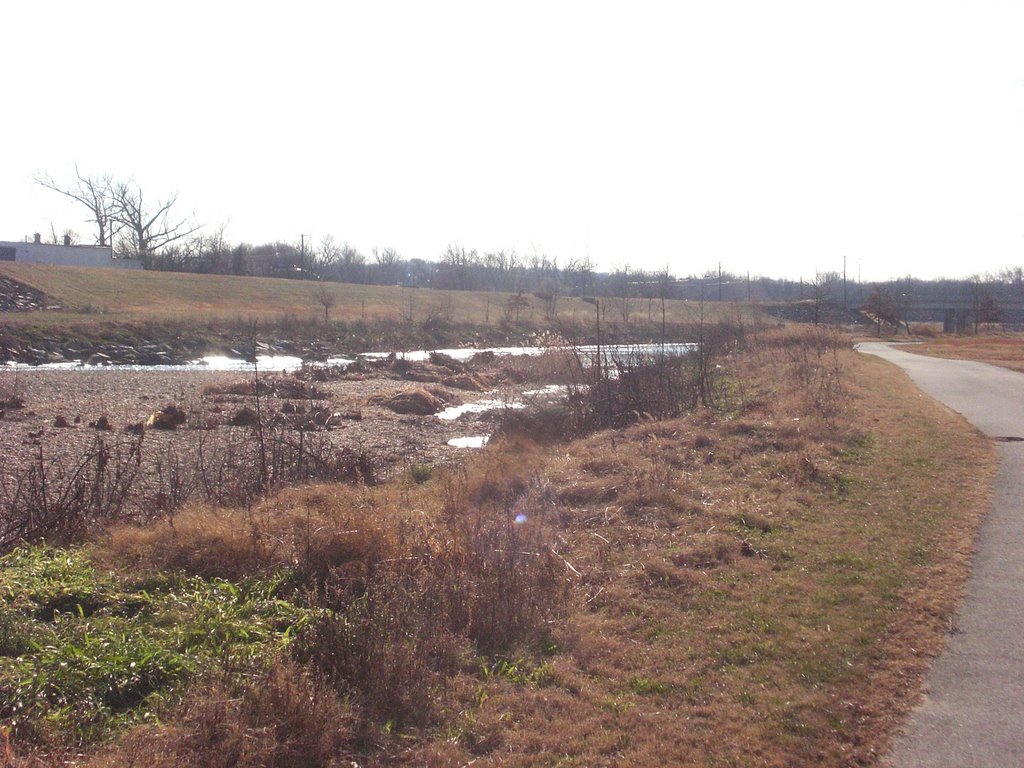 View of Northeast Branch Trail