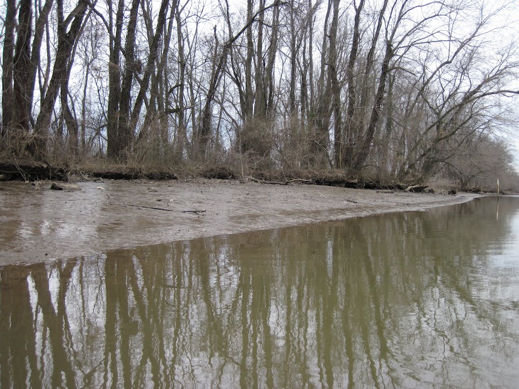 the smooth mucky muddy banks of the Anacostia in low tide