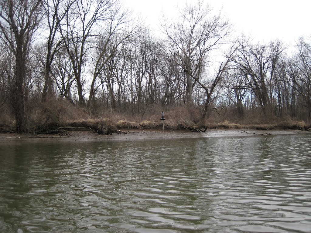 bird habitat housing on the banks of the anacostia