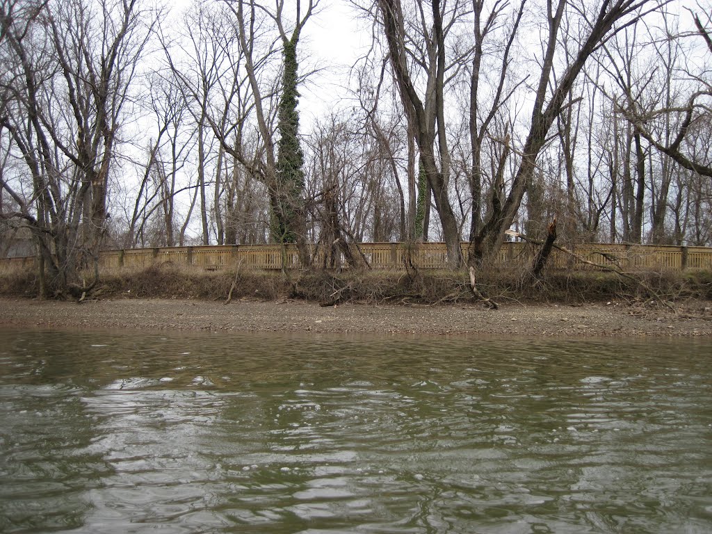 The Anacostia river trail boardwalk