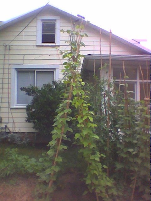 Side view from Windom, 4512 32 Street, Mount Rainier MD