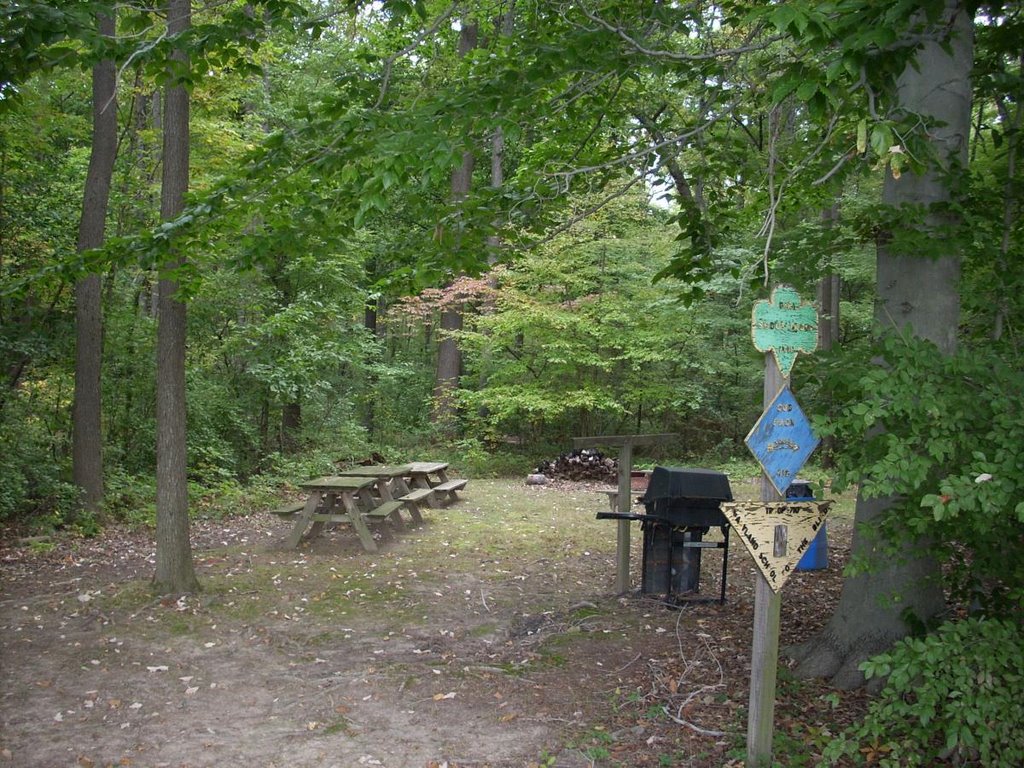 Scout camp area