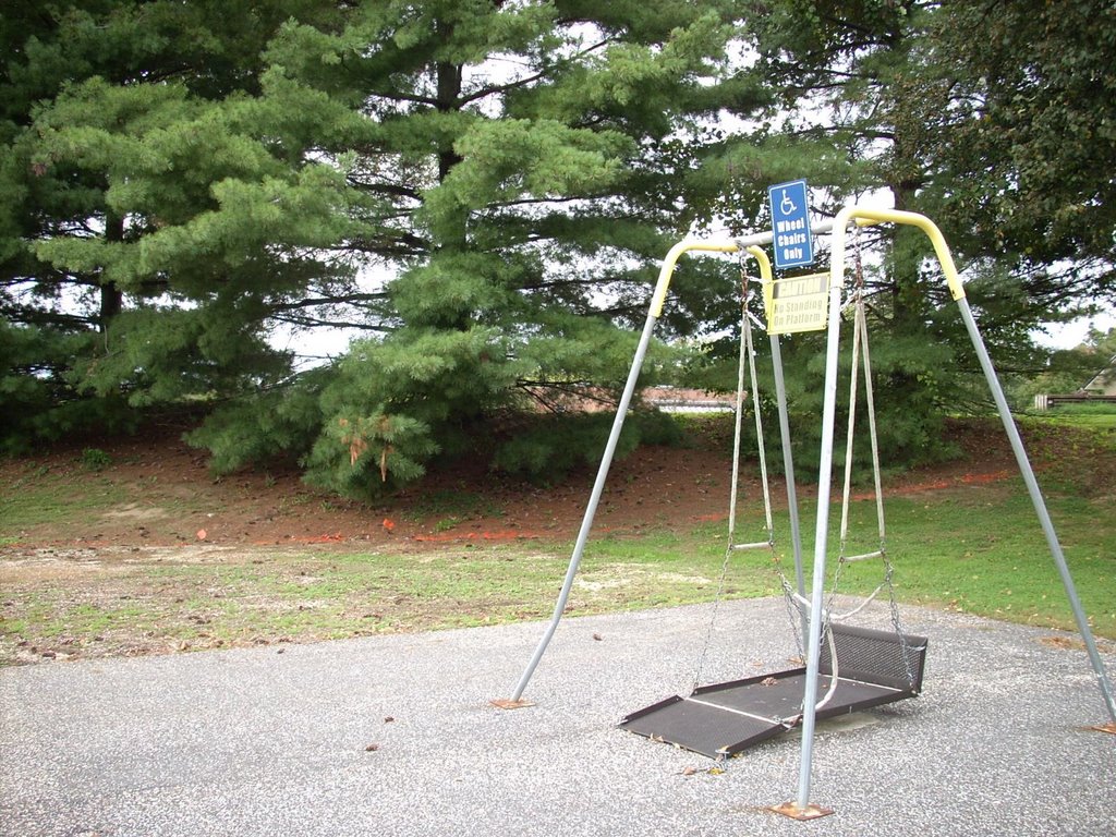 Wheelchair swing