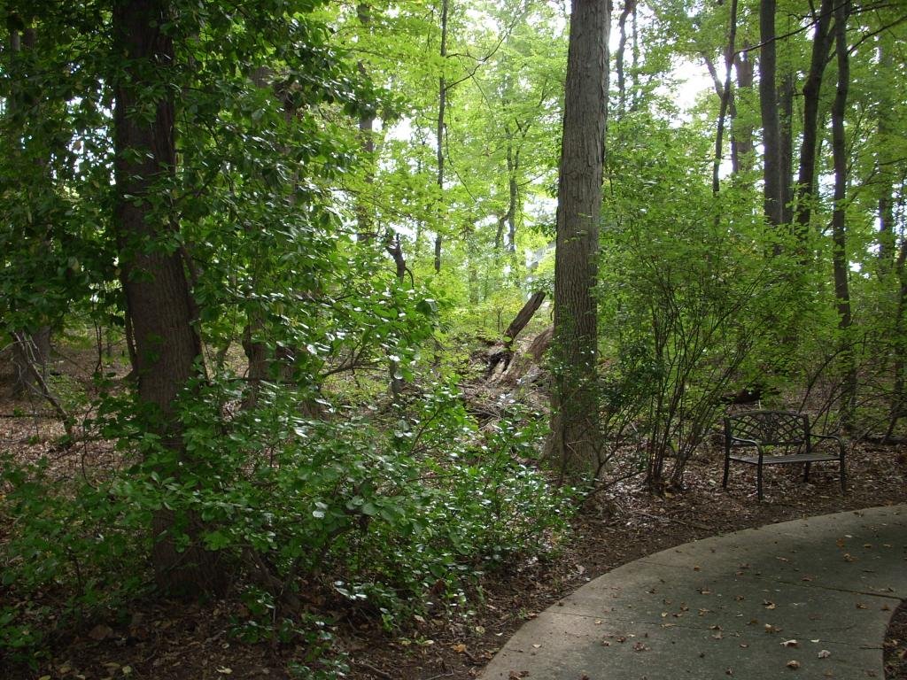 Herbert J. Wolfe Memorial Garden