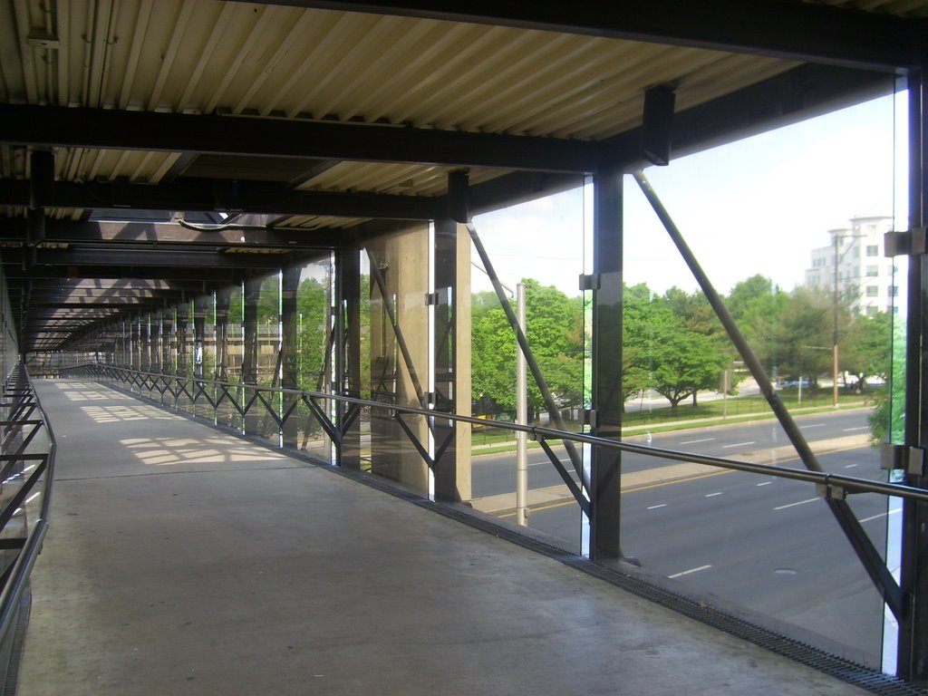 sky walk