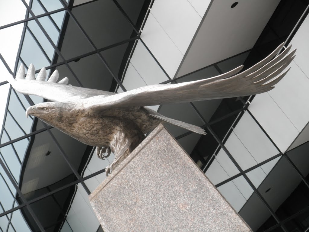 stainless steel eagle and detailed geometry
