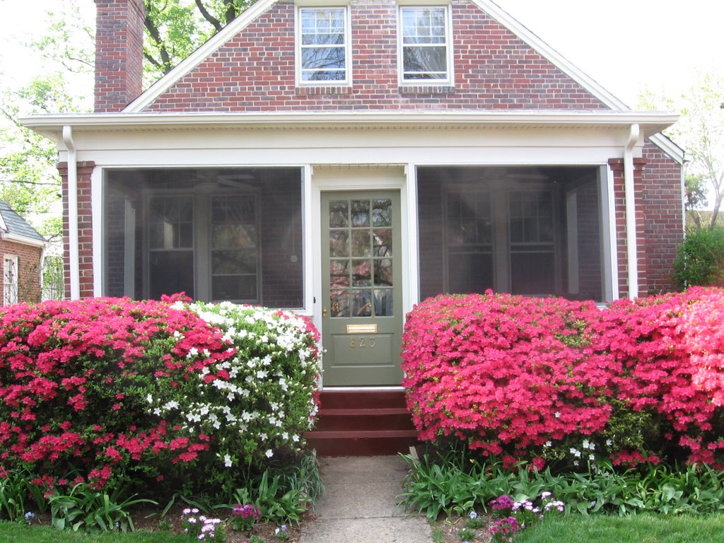 823 Bonifant St.