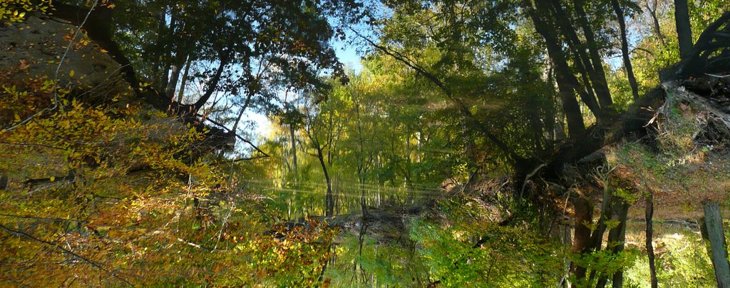 Rock Creek, WDC