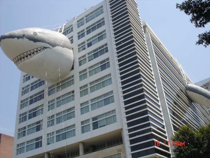 Shark Week 2006 #8