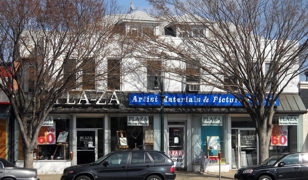 Plaza Artist Materials & Picture Framing‎, 8209 Georgia Avenue Silver Spring, MD 20910-4520