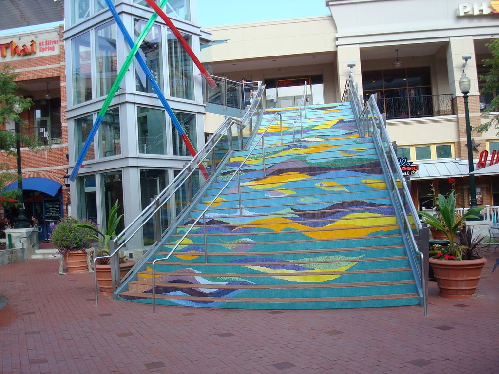 Silver Spring MD
