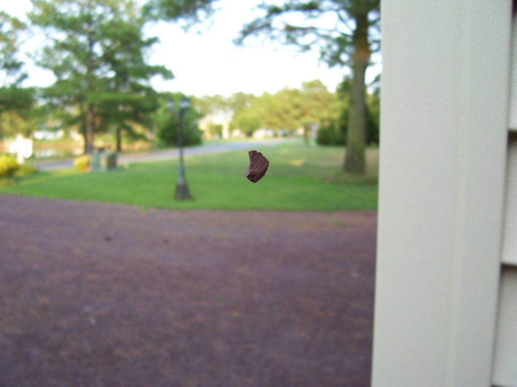 spider and the stone