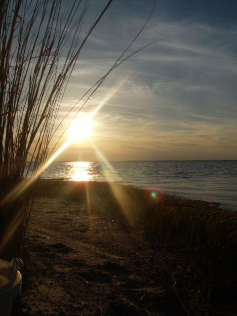 Crisfield