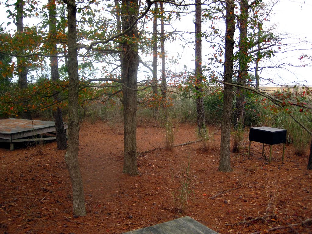 Daugherty Creek primitive campsites