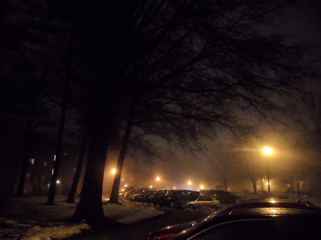 Towson Apartments Night Fog