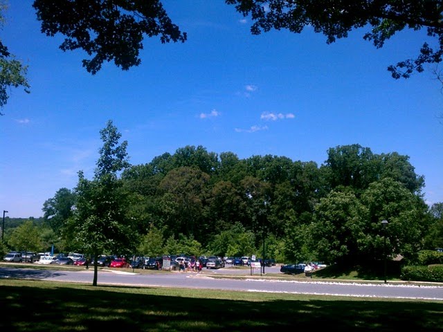 Lawn of Sheppard Pratt