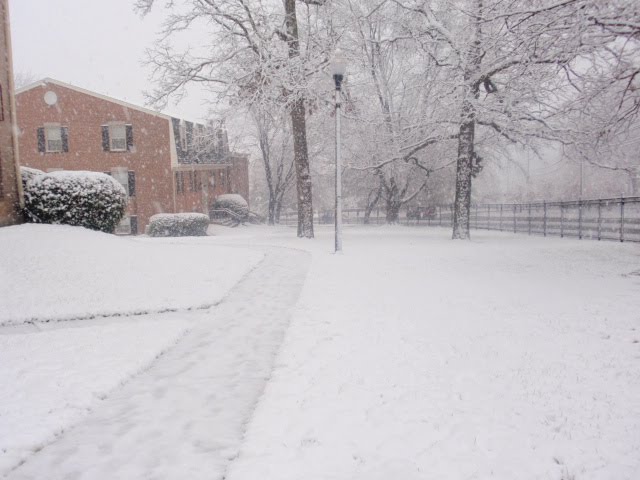 Snow in Court house square apartment, Towson