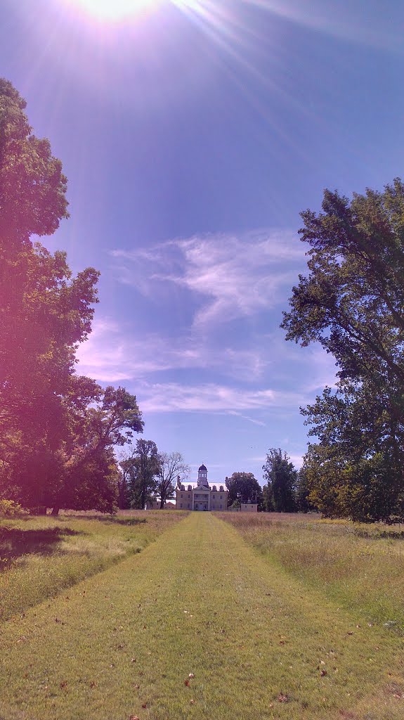 Down the Lawn