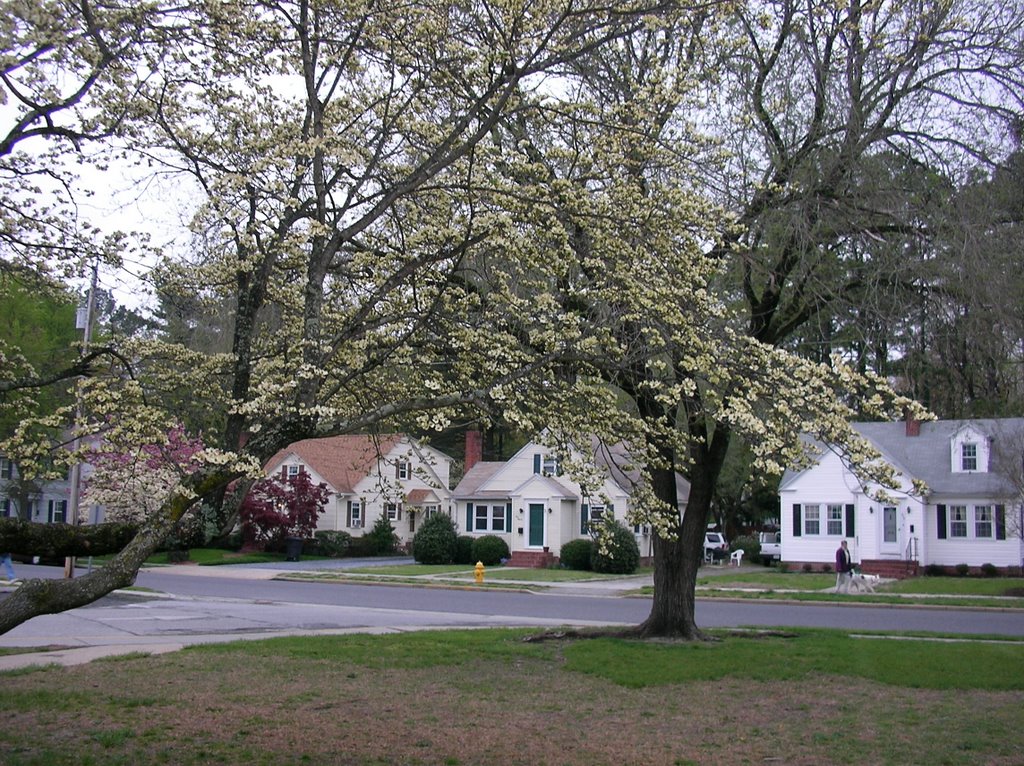 Salisbury Spring 2009