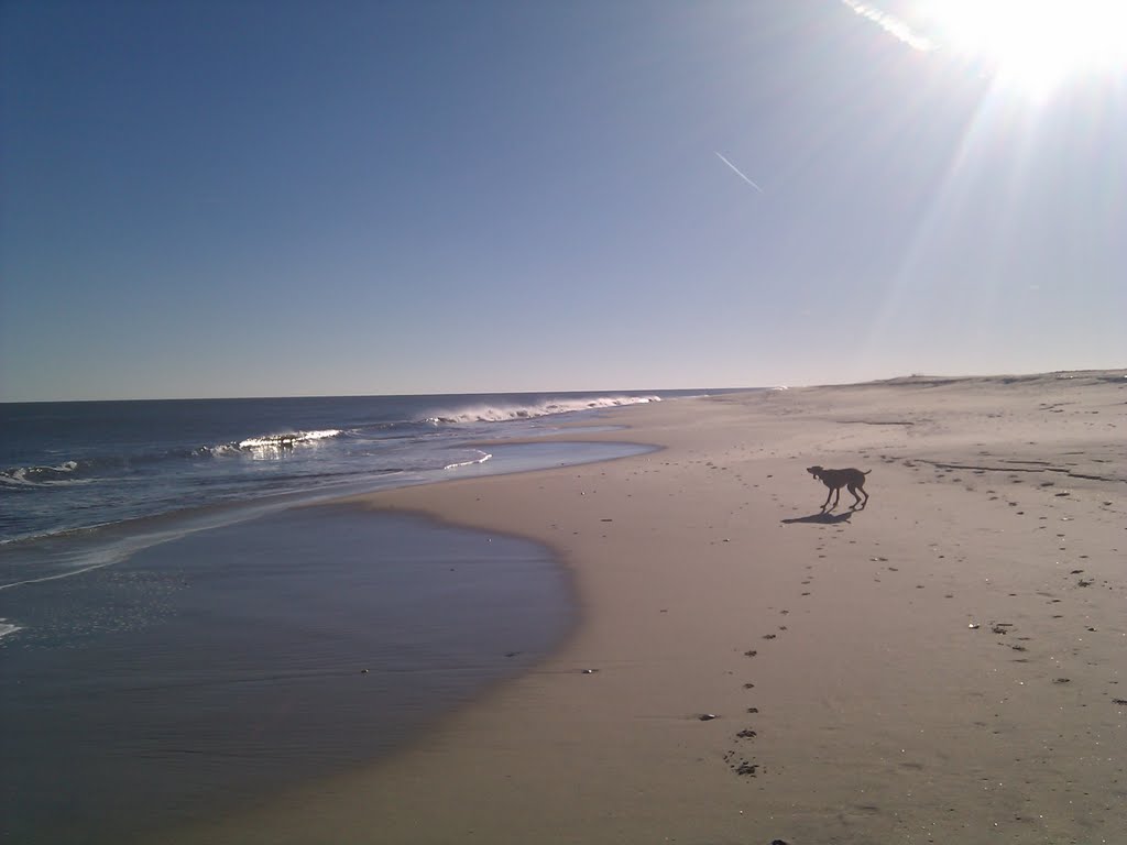 Zoe on the beach