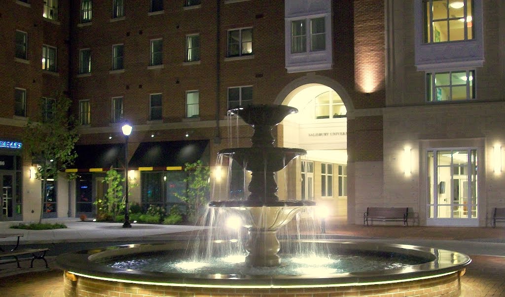 Sea Gull Square at Night