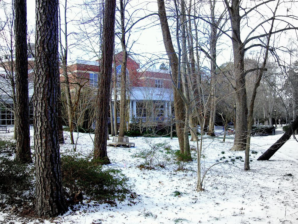 Commons_Snow