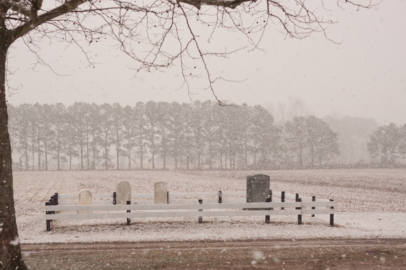 Family Plot