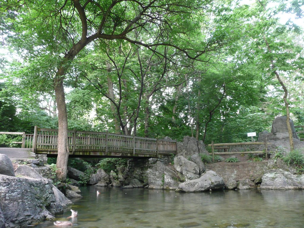 Spring at City Park