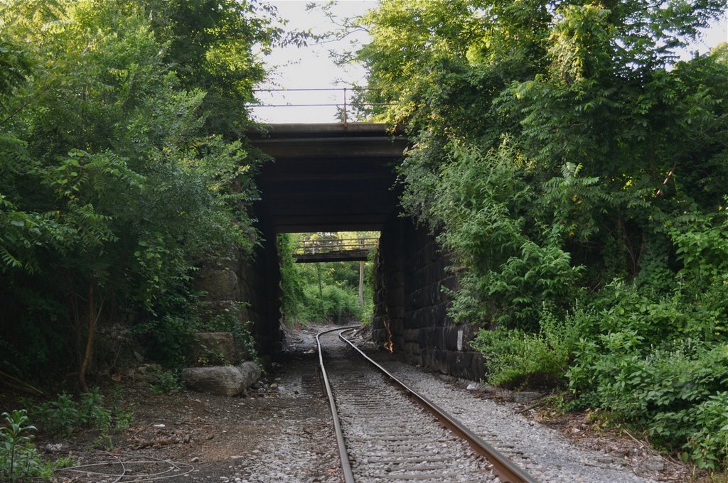 RR tracks at Hagerstown City Park