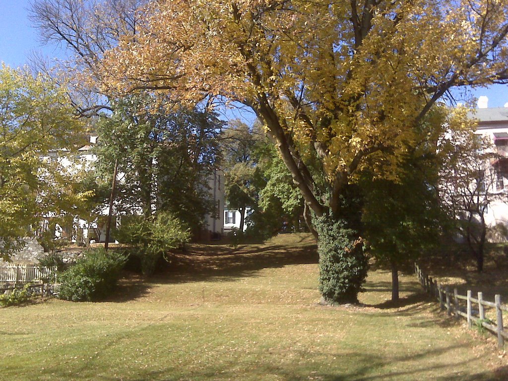 Fall view from Holburn Ave