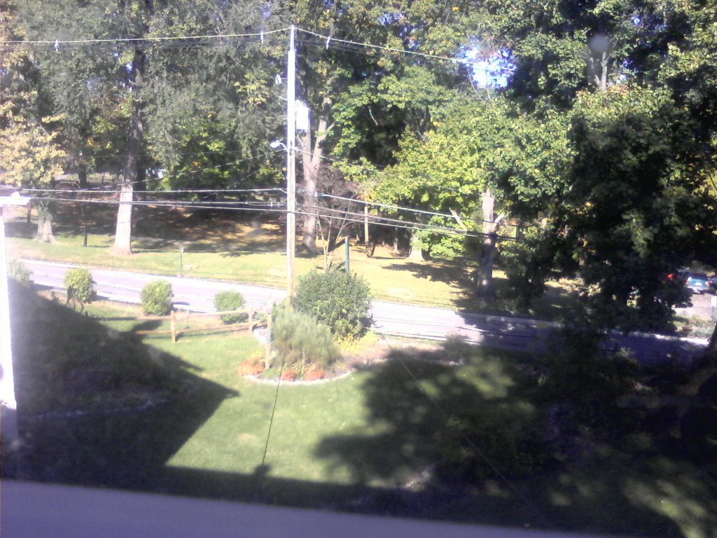View from the back