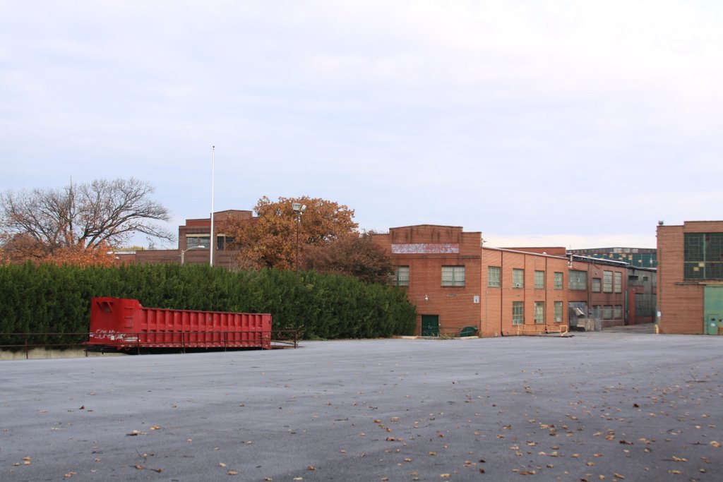 Pangborn, looking north from south-east end of property
