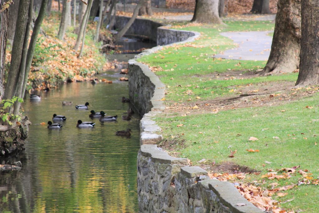 Pangborn Park, creek